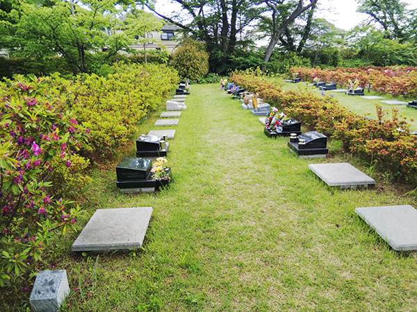 小平霊園 芝生墓地
